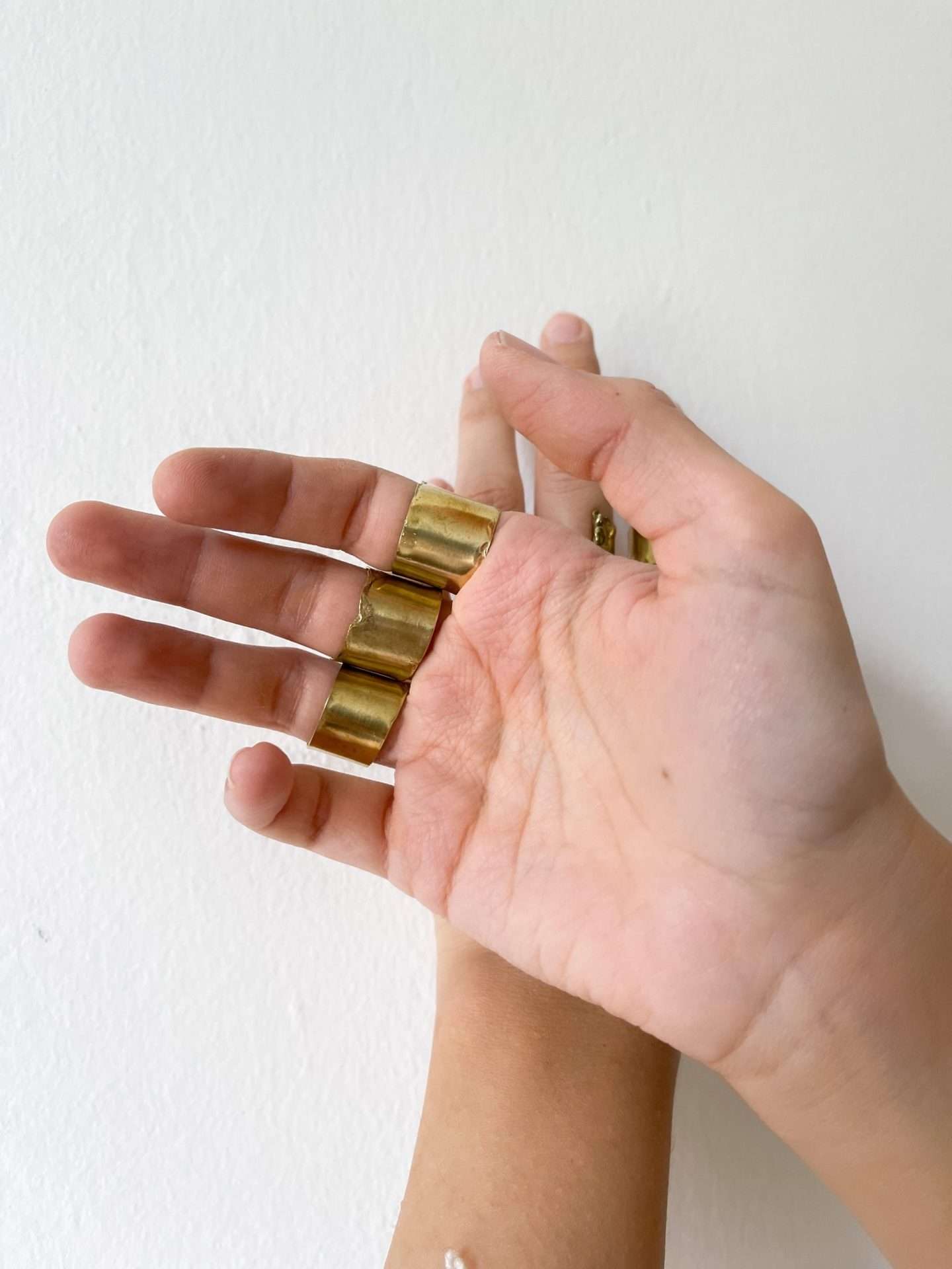 Anello evolution