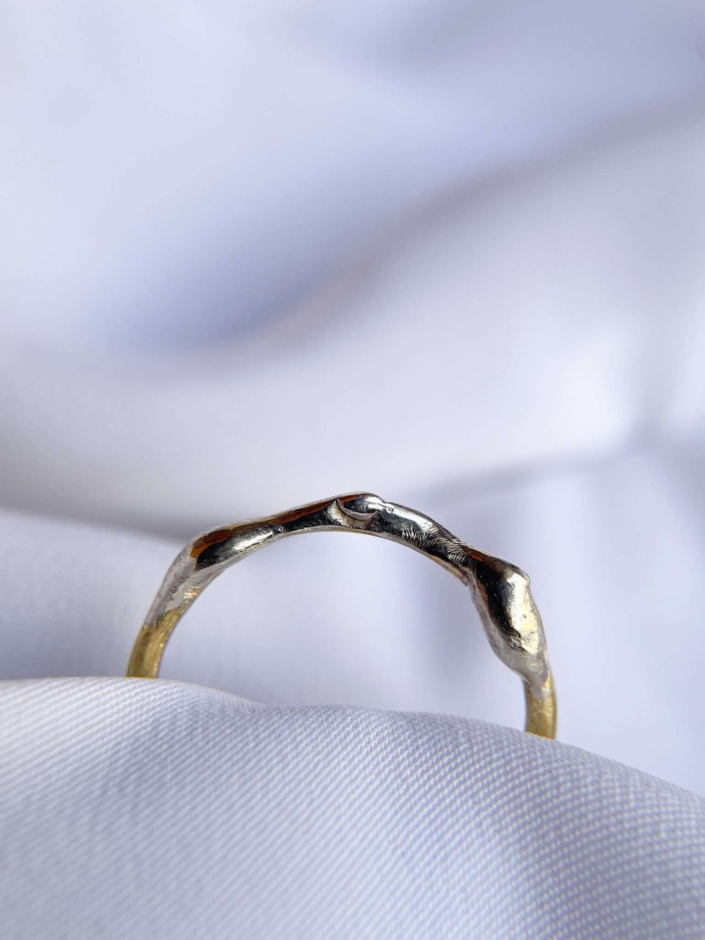 Anello fedina